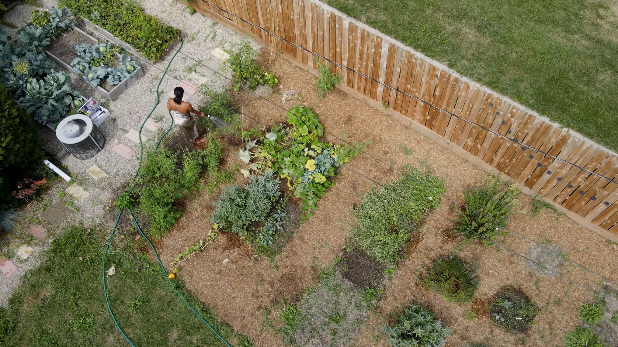 aerial shot of Greens backyard garden by Michael Lewis